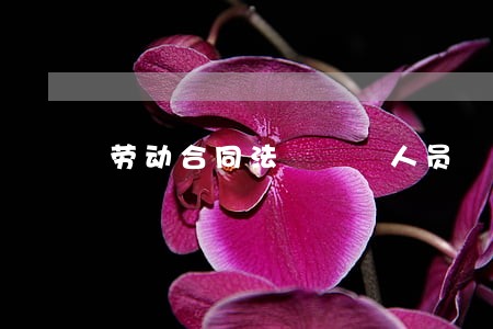 劳动合同法   人员